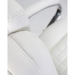 Офисное кресло для руководителей ALBA SCREED s80-04