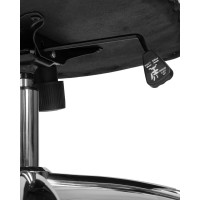 Офисное кресло для руководителей ALBA SCREED, белый