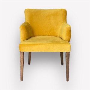 Интерьерное дизайнерское кресло Аристократ r30-05