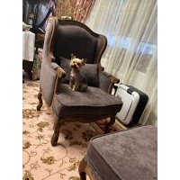 Интерьерное каминное кресло Сезарина с подушкой