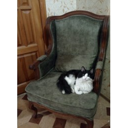 Каминное кресло Сезарина массив бука s30-09