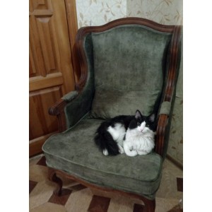 Каминное кресло Сезарина массив бука s30-09