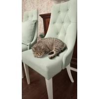 Стул Элегия мягкий без подлокотников, высокий