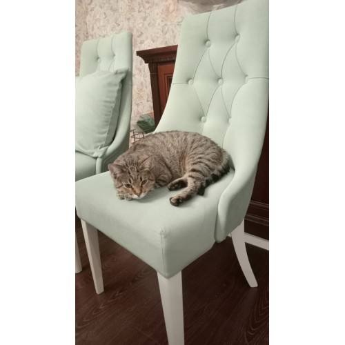 Стул Элегия мягкий без подлокотников, высокий